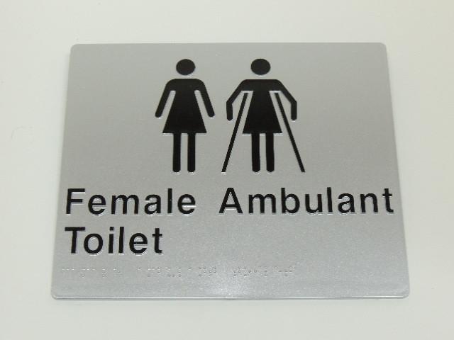 Braille Sign - Female & Female Ambulant Toilet Image